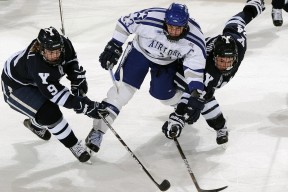 开云平台-九游体育_ 德甲联赛传递绿色环保理念，竞技之余注重可持续发展